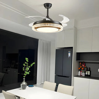 Retractable Blades Ceiling Fan