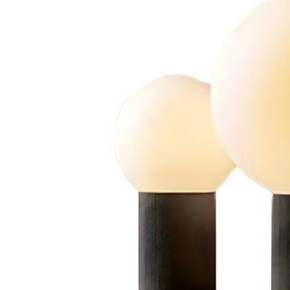 Chic Dual Globe Glass Shades Black Resin Table Lamp Zawala Image - 8