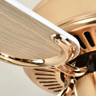 Modern Elegant 5 Blade Flower Shade Ceiling Fan Light Zawala Image - 15