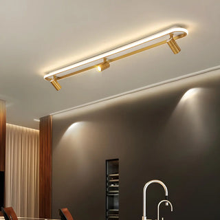 Fashion Gold LED Metal Flush Mount Fixed Track Light Zawala Image - 1