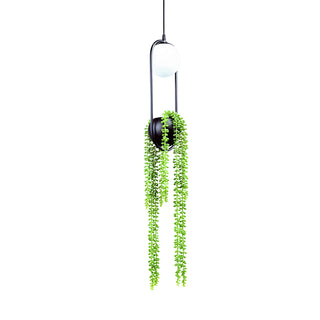 ZOWALA - Industrial Black Green Hanging Plant Dining Room Pendant Light Image - 4