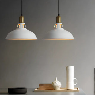 Industrial Brass Metal Round Vaulted Pendant Light Zawala Image - 2