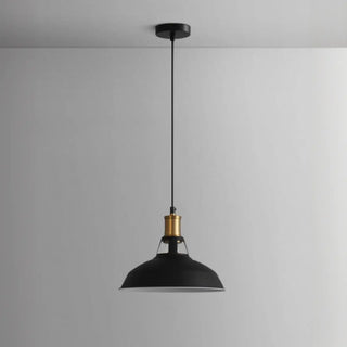 Industrial Brass Metal Round Vaulted Pendant Light Zawala Image - 9