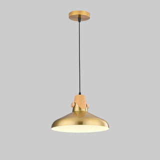 ZOWALA - Industrial Dome Golden Pendant Light Flexible Length Image - 7