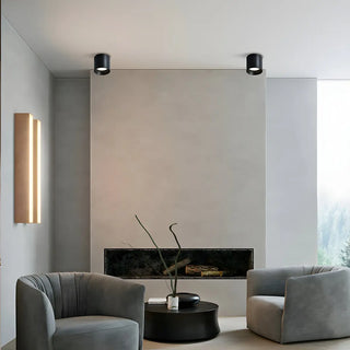 Living Room Simplicity Black Cylinder Flush Mount Light Zawala Image - 1
