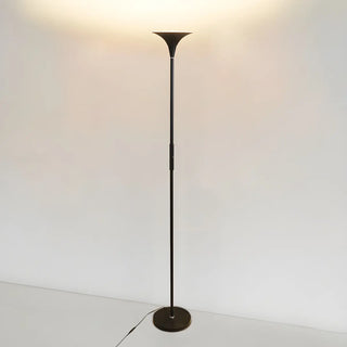 Bedroom Torch Minimalist Black Metal LED Floor Lamp Zawala Image - 5