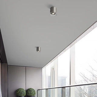 ZOWALA - Minimalist Nickel Cylinder Flush Mount Hallway Light Image - 1
