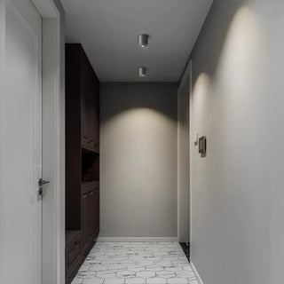 ZOWALA - Minimalist Nickel Cylinder Flush Mount Hallway Light Image - 4