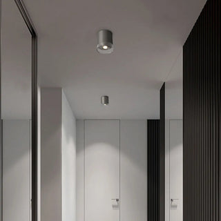 ZOWALA - Minimalist Nickel Cylinder Flush Mount Hallway Light Image - 3
