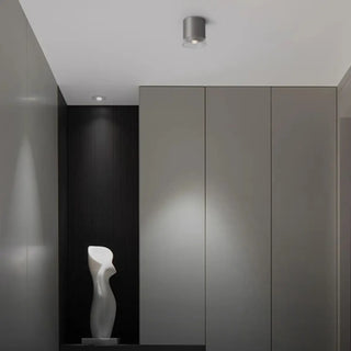 ZOWALA - Minimalist Nickel Cylinder Flush Mount Hallway Light Image - 5