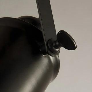 ZOWALA - Minimalist Semi-Flush Mount Black Iron Track Light Image - 6