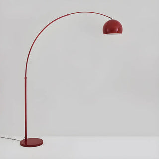 Adjustable Multiple Colors Dome and Arch Floor Lamp Zawala Image - 11