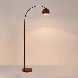 Adjustable Multiple Colors Dome and Arch Floor Lamp Zawala Image - 9