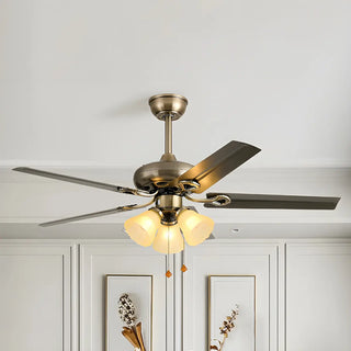 Ceiling Fan Light for Large Bedroom