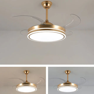 Round Blade Ceiling Fan Light