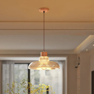 Modern Clear Glass Dome Adjustable Height Pendant Light Zawala Image - 1