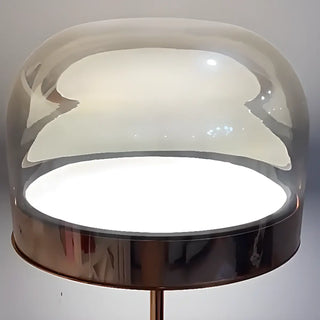 ZOWALA - Modern Chrome Clear Glass Dome LED Bulb Floor Lamp Image - 6