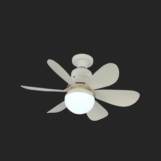 Modern White Shade 5 Blades Ceiling Fan with Light Zawala Image - 4