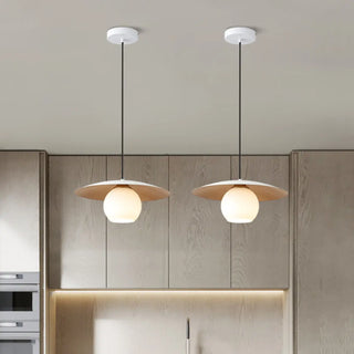 ZOWALA - Nordic Disc Glass Mini Dining Room Black Pendant Light Image - 3