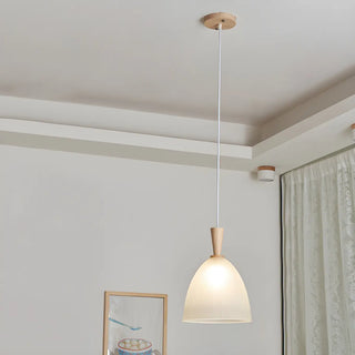ZOWALA - Modern Nordic Dining Room Clear Glass Dome Pendant Light Image - 3