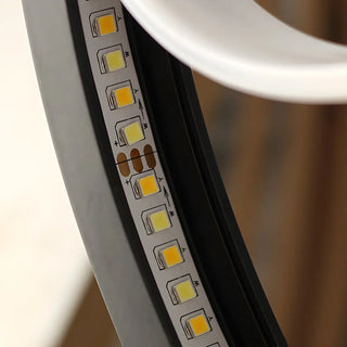 Creative Black Oval Frame Deer Accent LED Table Lamp Zawala Image - 13