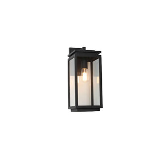 Outdoor Clear Glass Black Lantern LED Wall Sconce Zawala Image - 8