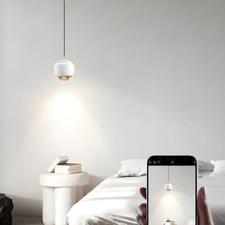 Modern Globe Metal Bedroom Black Pedant Light Zawala Image - 17