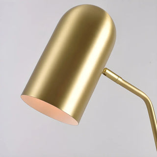 Trendy Adjustable Cylinder Gold Metal LED Floor Lamp Zawala Image - 11